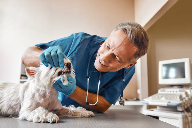 Best Tooth Infection Emergency Dentist  in Arche, OK